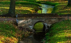 Фото NPPTRGF (4)