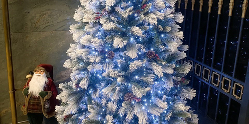 Рождественские истории Петербурга с мастер-классом на ЛЕНИГРУШКЕ