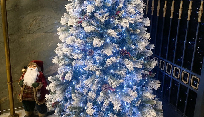 нг_от гидов_5