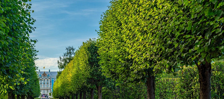 Екатерининский парк в Пушкине