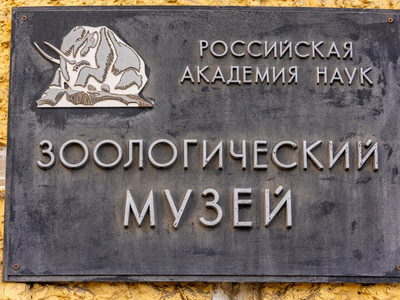 Зоологический музей
