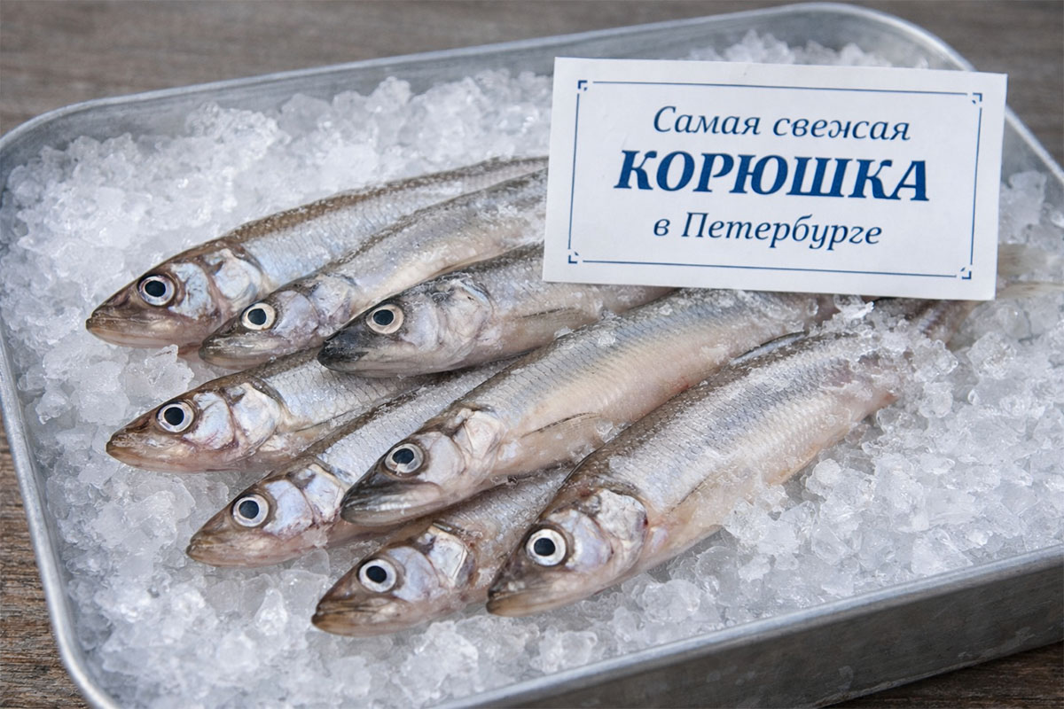 Свежая корюшка